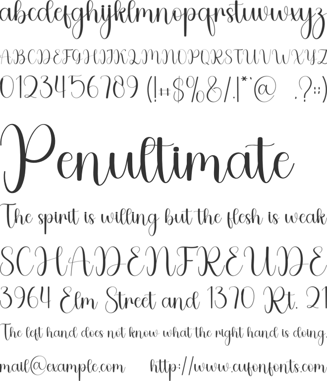 Spectacular font preview