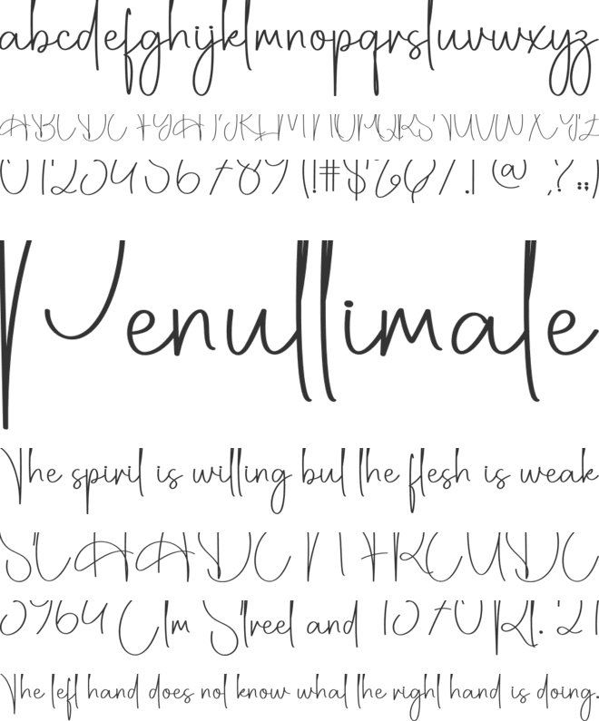 Scaryday font preview