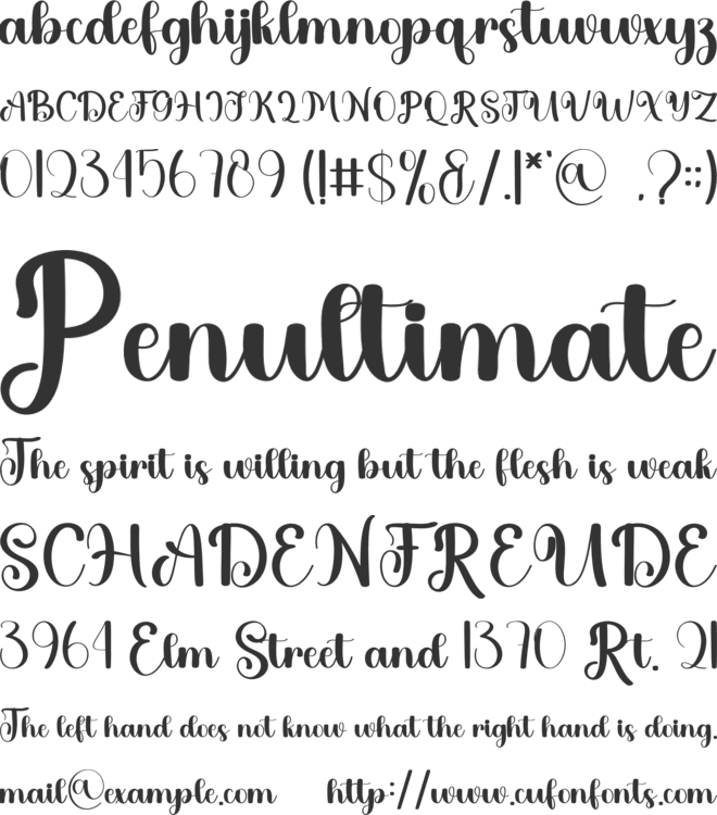 Casting font preview