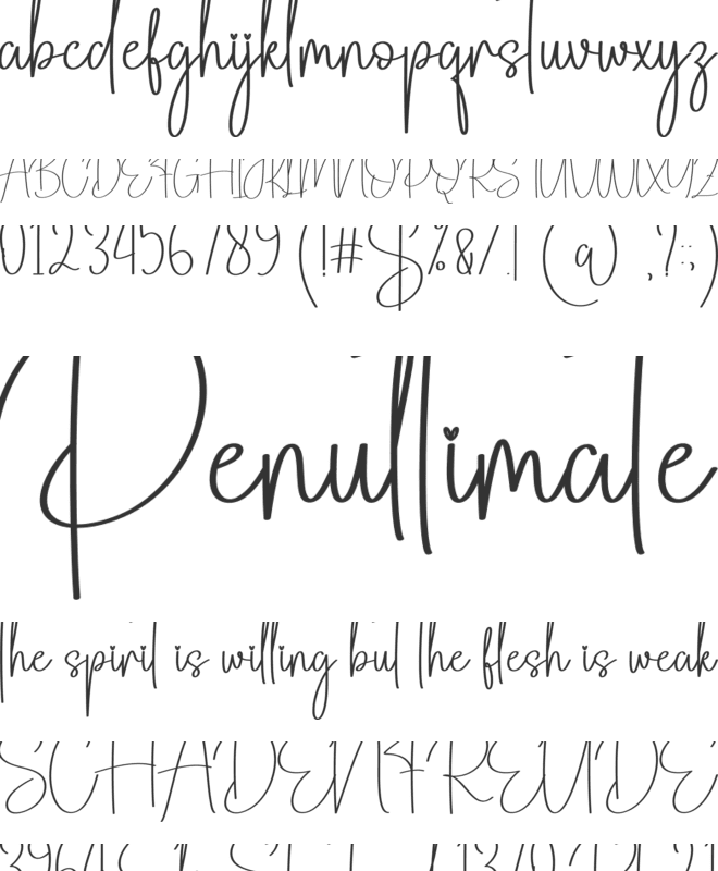 The Wonderful font preview