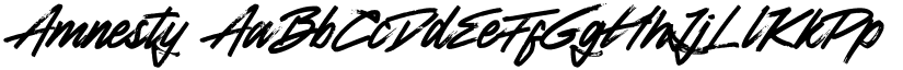 Amnesty font