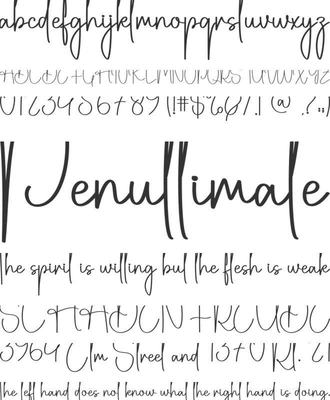 Mistyping font preview