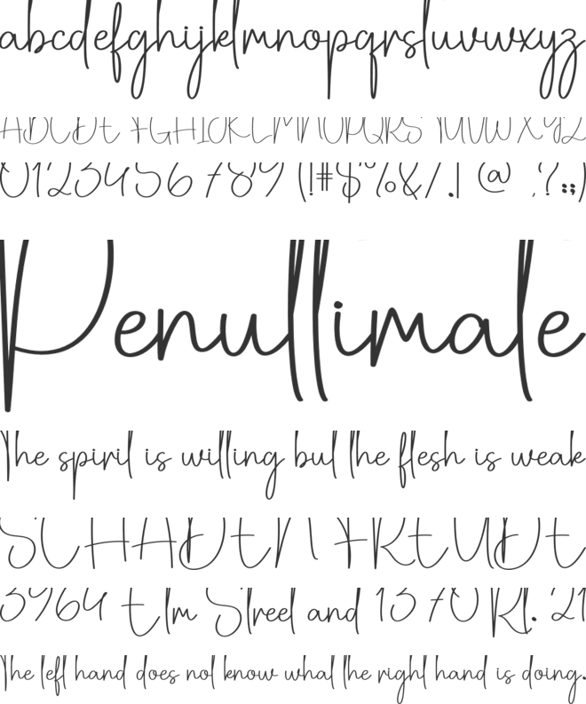 Thickfog font preview