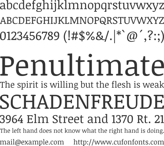 Noticia Text font preview