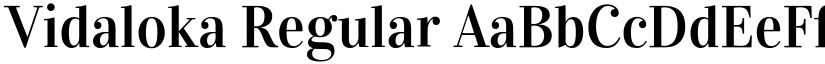 Vidaloka Regular font