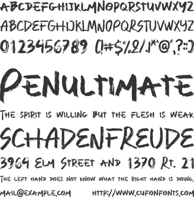 Rio Saint font preview