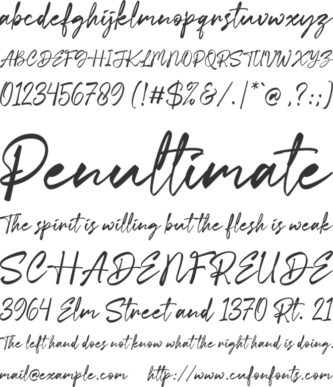 Michelle Patrick font preview