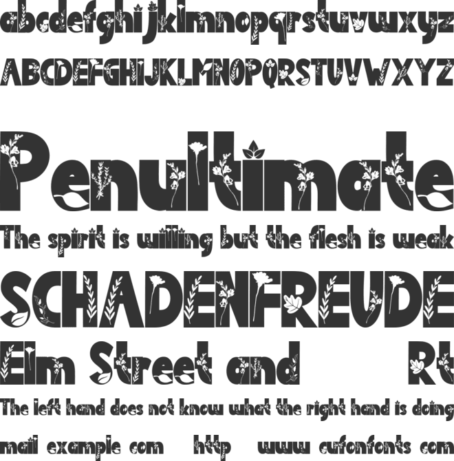 Dainty Spring font preview