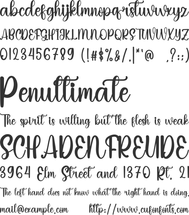 Wedding Ceremony font preview
