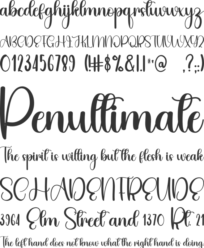 Autumn  Signature font preview