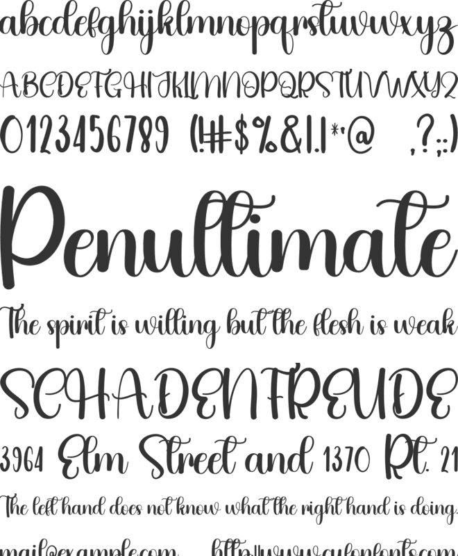 Really Belive font preview