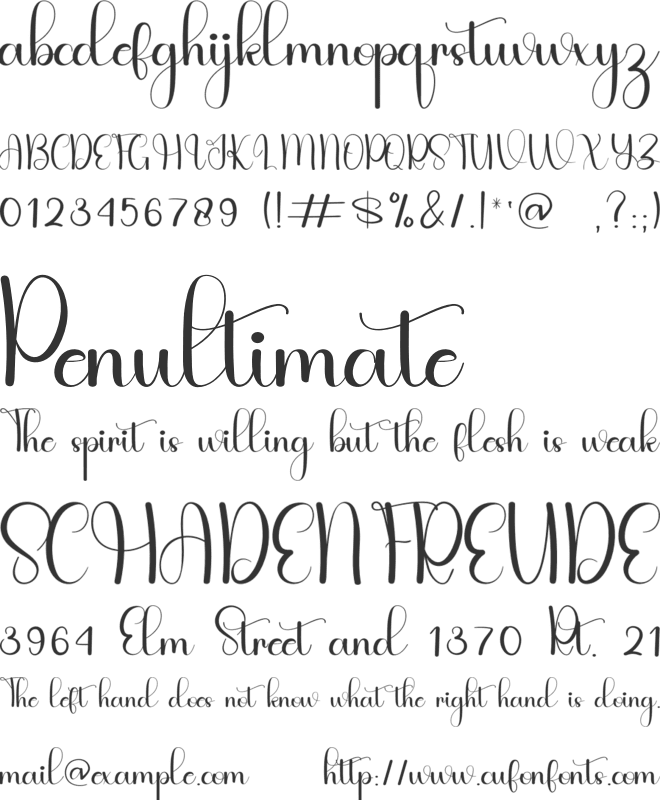 Wedding  Vacation font preview