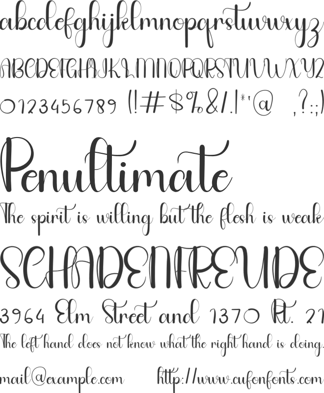 Quinceanere font preview