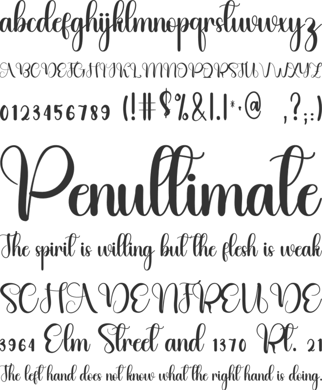 Briefly font preview
