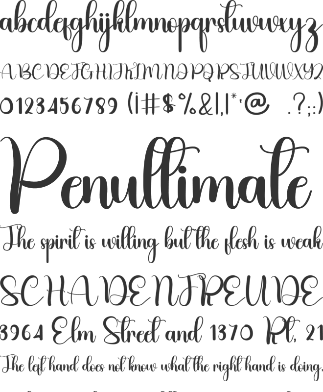 Bigsister font preview