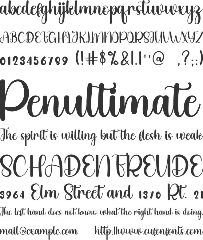 Beauty Angelica font preview