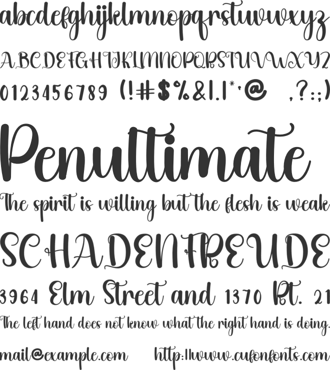Classic Vacation font preview