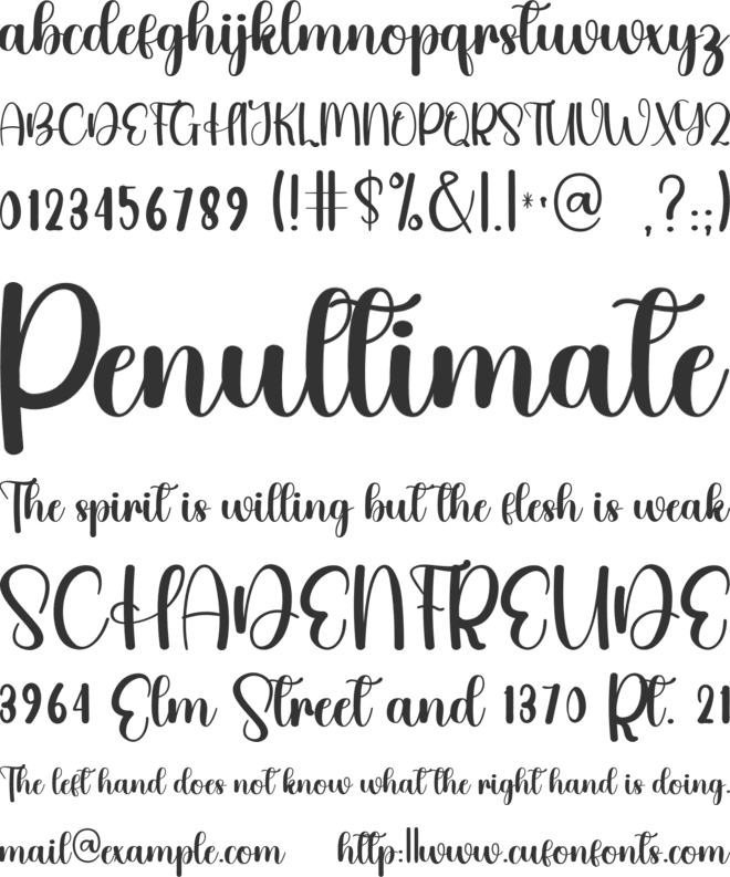 Special Samantha font preview