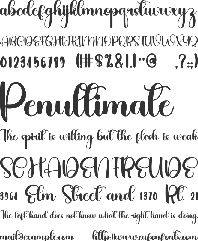 Beardy font preview
