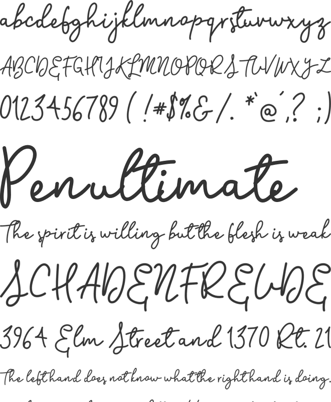 Flywheel font preview