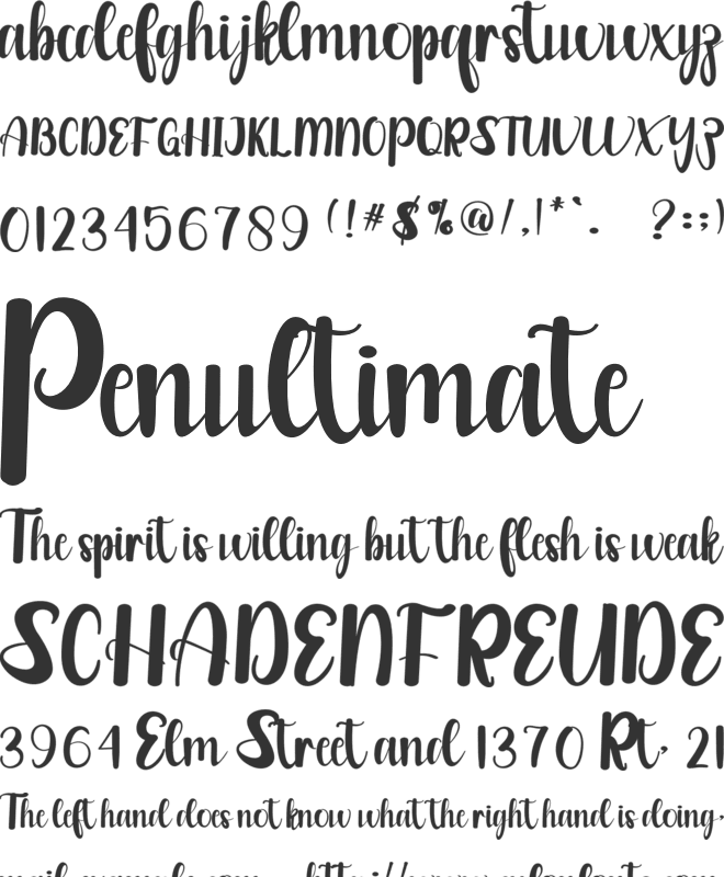 Hummingbird font preview