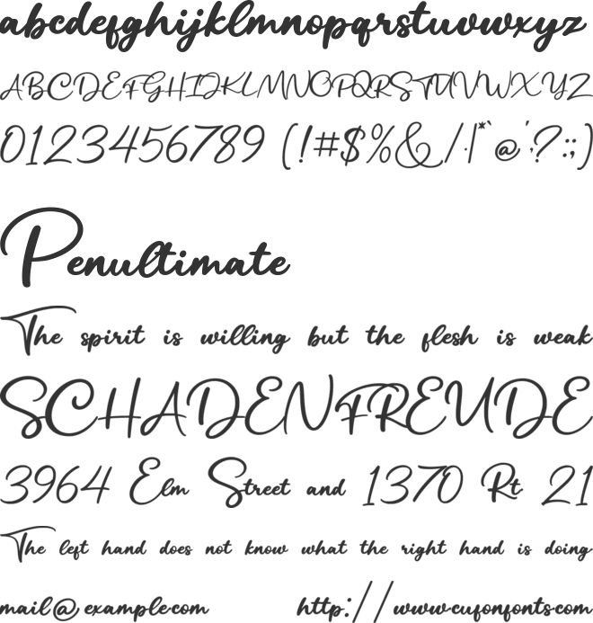 Austin Ronalle font preview