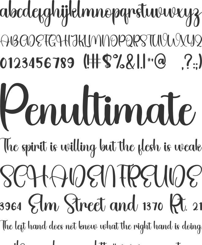 Believer font preview