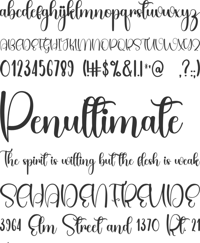 Fanatical font preview