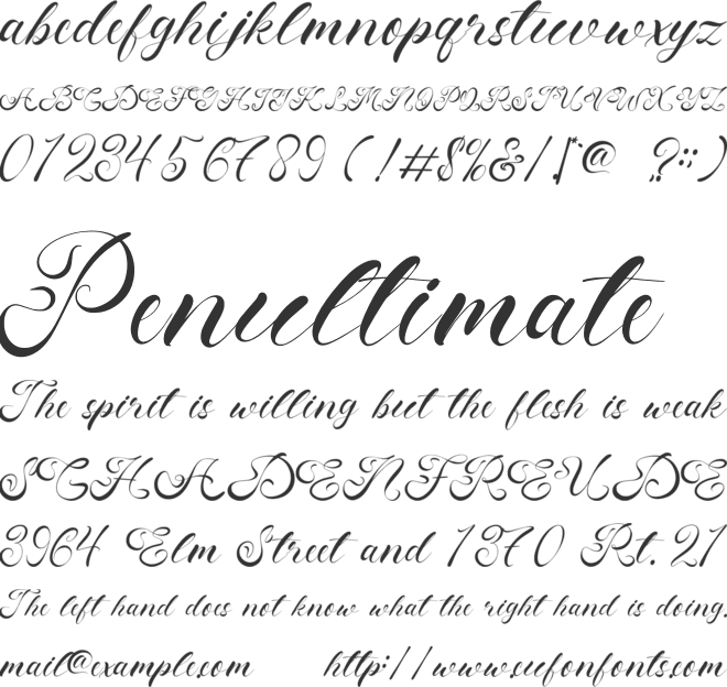 Fenshui font preview