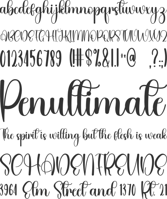 Alliance1 font preview