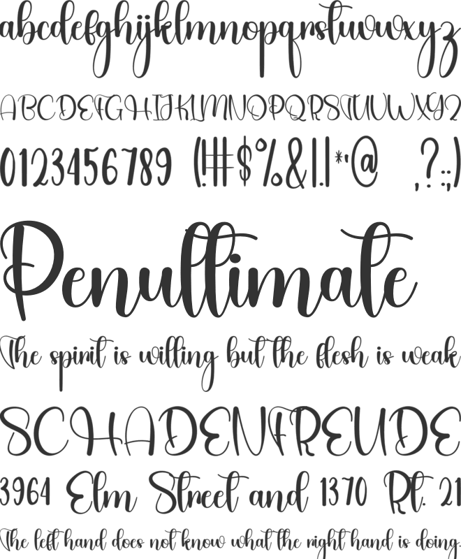 Beauty Night font preview