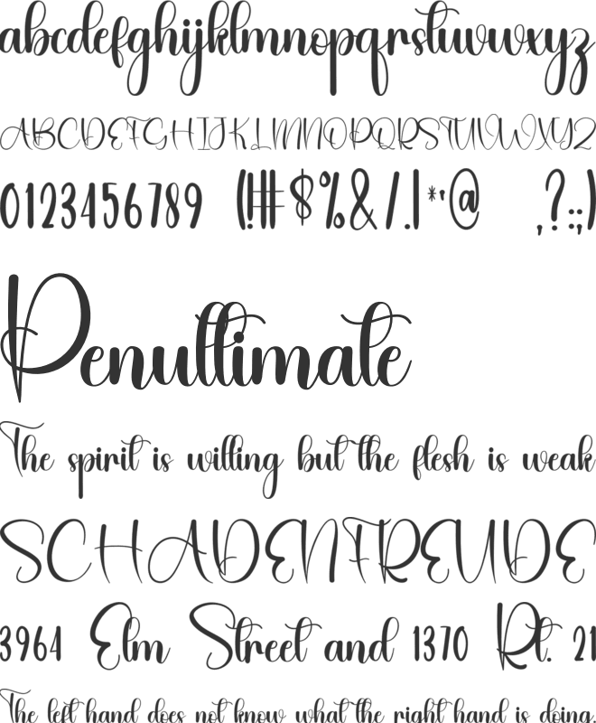 Natural Paradise font preview