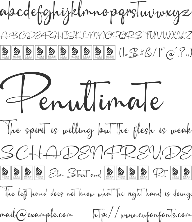 Camerelia Family font preview