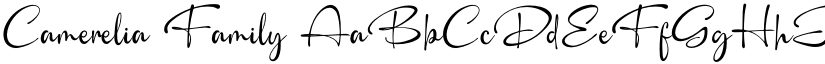 Camerelia Family font
