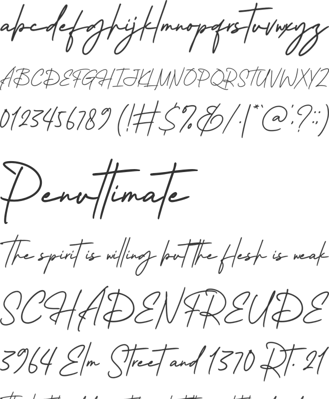 Mailman Handwritten Script Font font preview