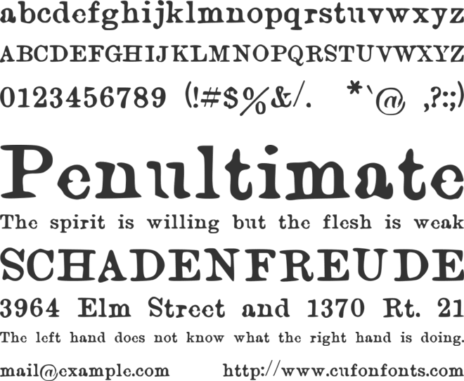 ICHIGAYAMincho font preview