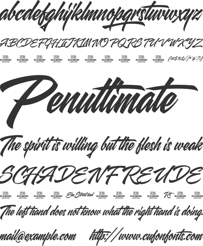 Anaconda Wildstyle PERSONAL font preview