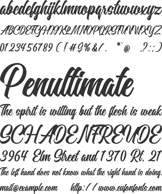 Heinyta font preview