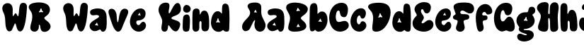 WR Wave Kind font