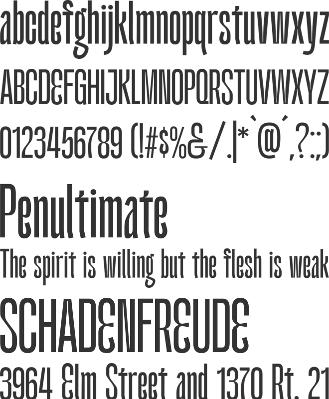 Kimotto Condensed font preview