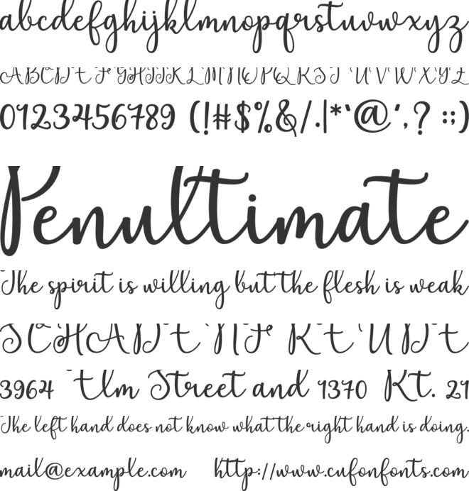 Elation Script font preview