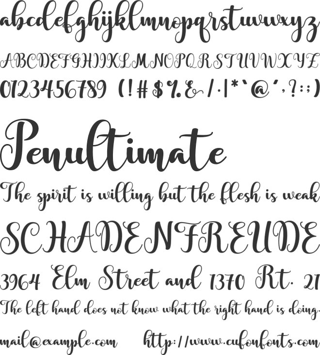 Agatha Script font preview