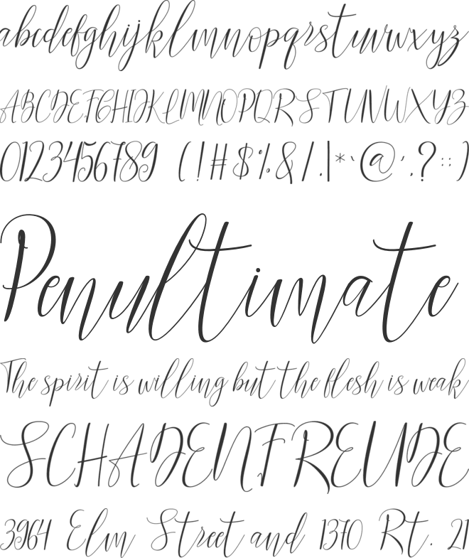 Lanilla Script font preview