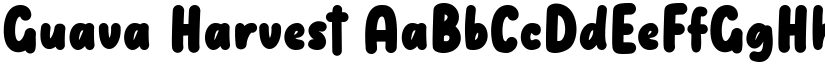 Guava Harvest font