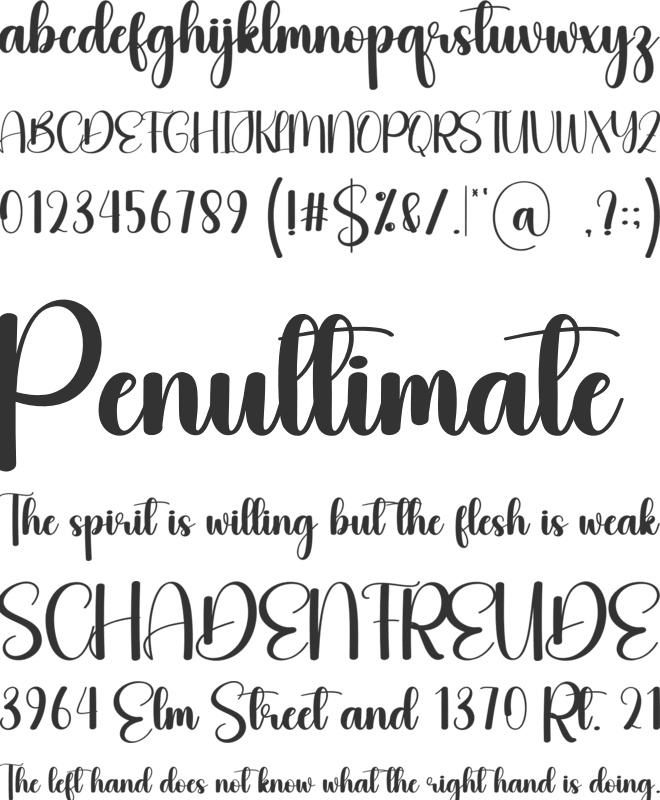 Familytime font preview