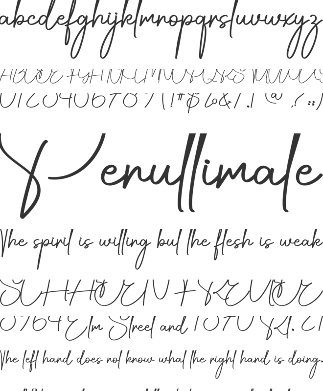 Digital Signature font preview