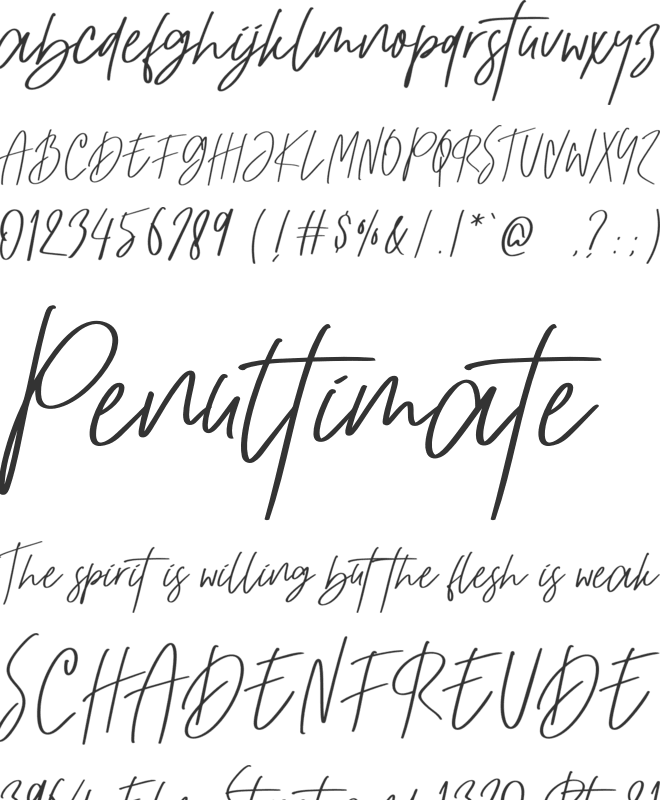 Bossy Winstone font preview