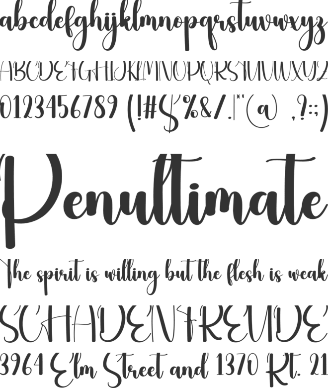 Newyork font preview