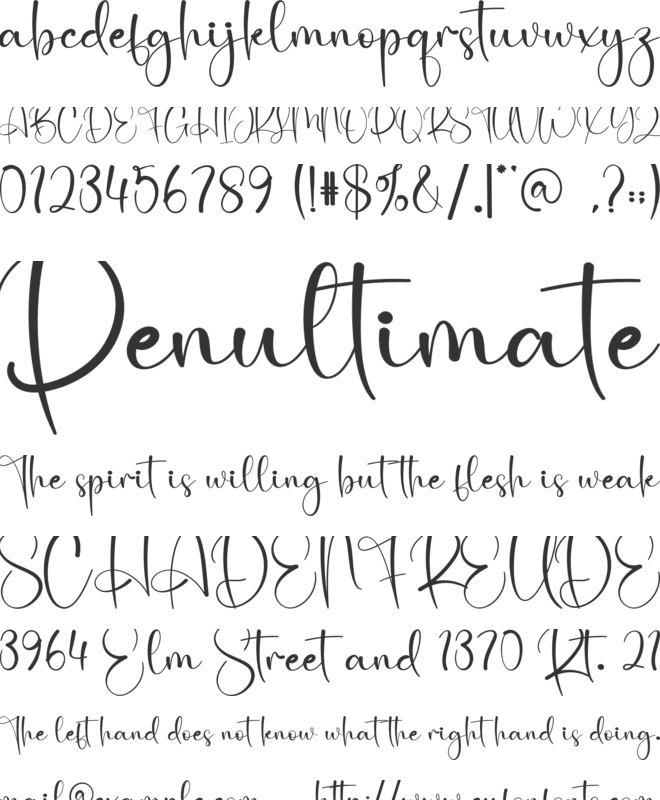 Jackson font preview