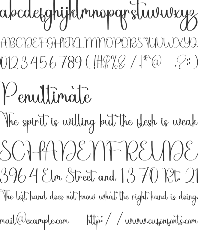 Stylish Birthday font preview